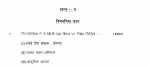 12th hindi subjective model paper 2022
