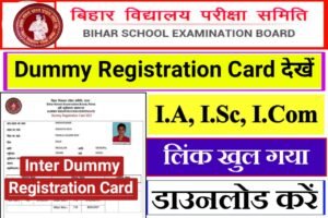 Bihar board 12th Dummy Registration Card 2023 Download
