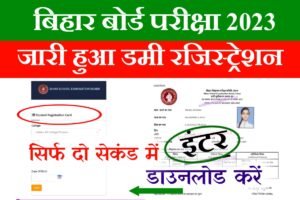 Bihar Board Inter Dummy Registration Card 2023